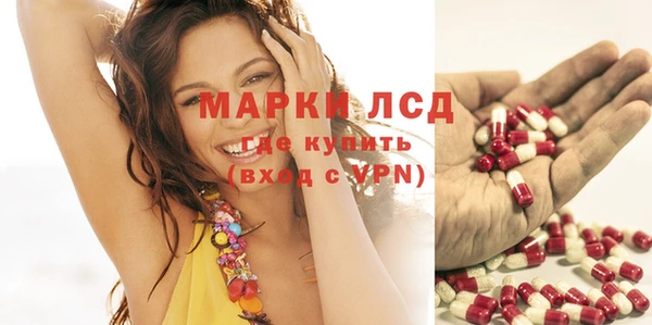 PSILOCYBIN Нязепетровск