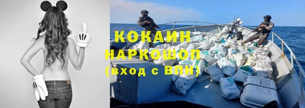 PSILOCYBIN Нязепетровск