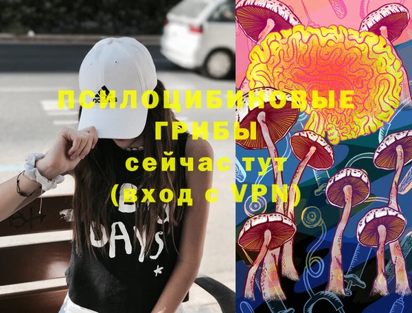 PSILOCYBIN Нязепетровск