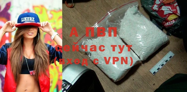 PSILOCYBIN Нязепетровск