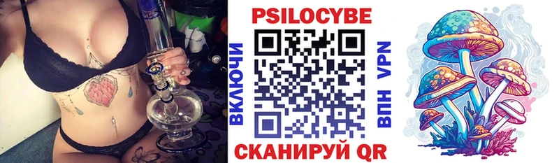 Купить где  Тайшет  Галлюциногенные грибы Cubensis 