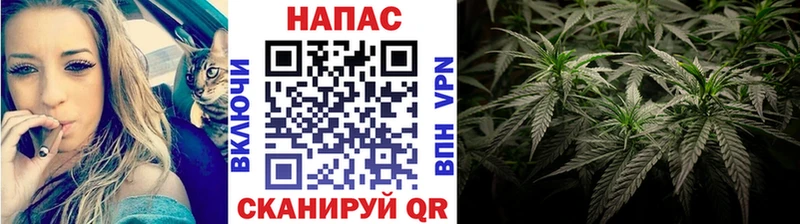 Купить закладки  Тайшет  Бошки марихуана план 